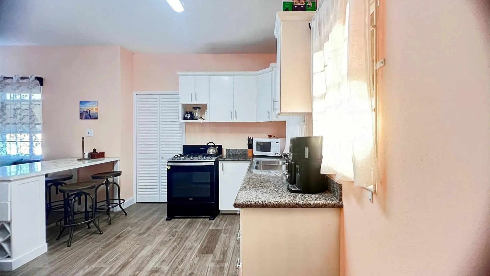 Lulu Cottage Basseterre Apartment